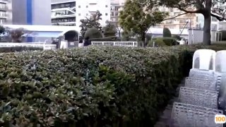 [短视频区] 想我看什么告诉我？